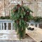 Alpine Evergreen Pinecone Drop | 27" - Final sale / Non-returnable and Non-refundable